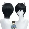 wig-3